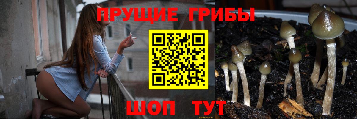 Псилоцибиновые грибы ЛСД  Вход с VPN  Казань 